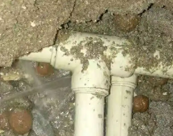 浏阳测漏水多少钱