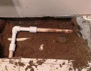 浏阳测漏水哪家好