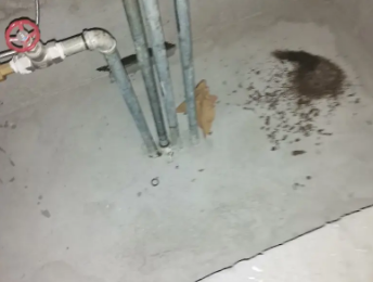 浏阳卫生间测漏水价格明细